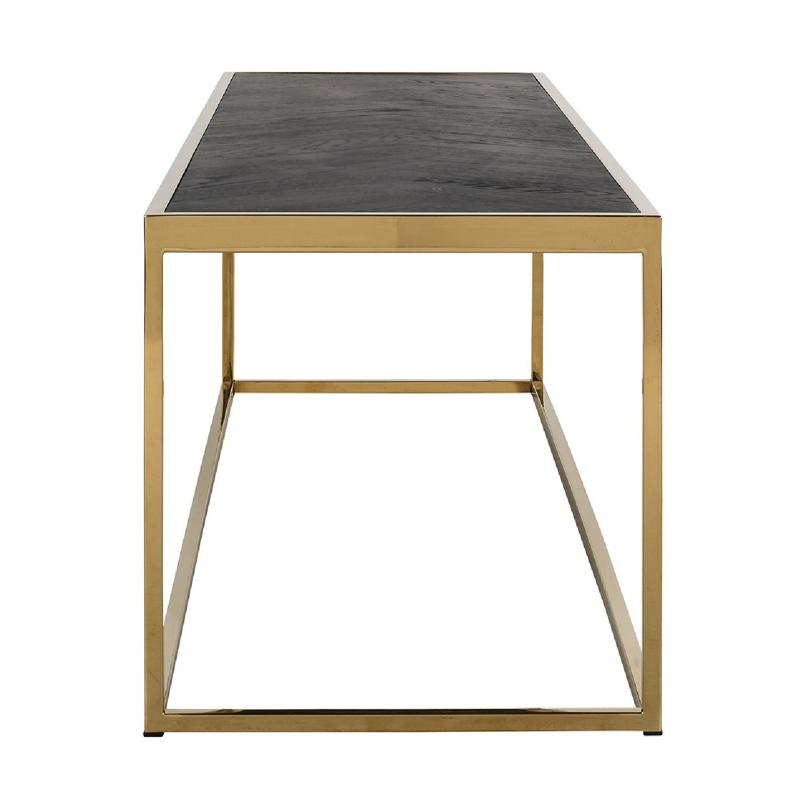 Table de salon Blackbone gold 160x40 Tables basses rectangulaires - 341