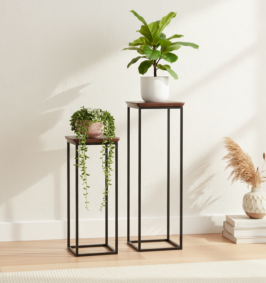 Set de 2 selettes  | Bunting