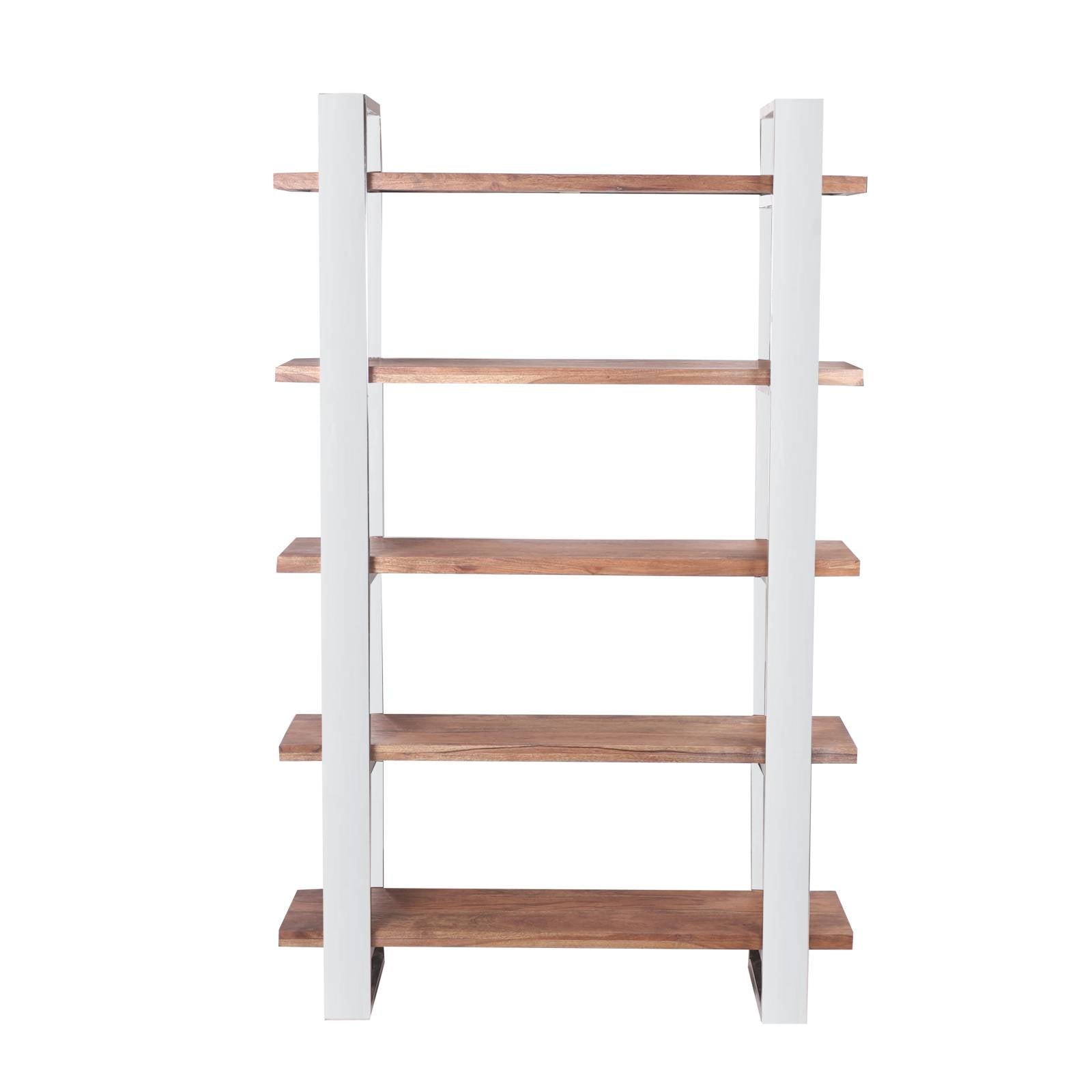 STAINLESS BIBLIOTHEQUE 120X35 LOT/5 + PIEDS